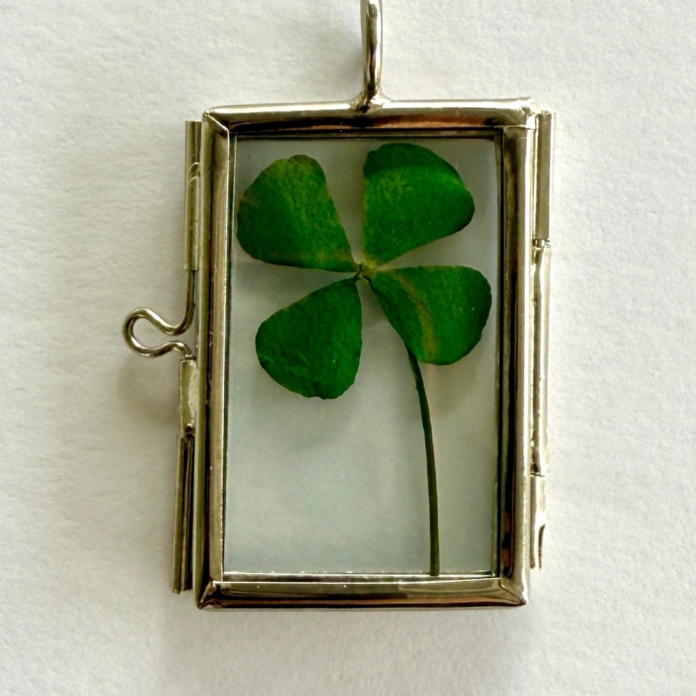 Real pressed 4 leaf clover pendant - new